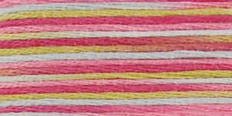 DMC Coloris Embroidery Floss