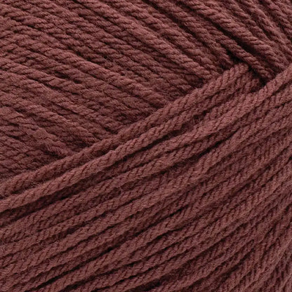 Lion Brand Pound of Love Yarn