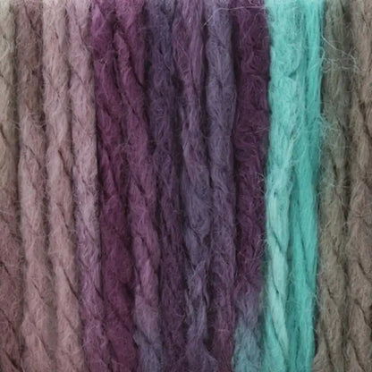 Bernat Softee Chunky Yarn