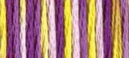 DMC Perle Cotton Variations, Size 5 Needlework Thread