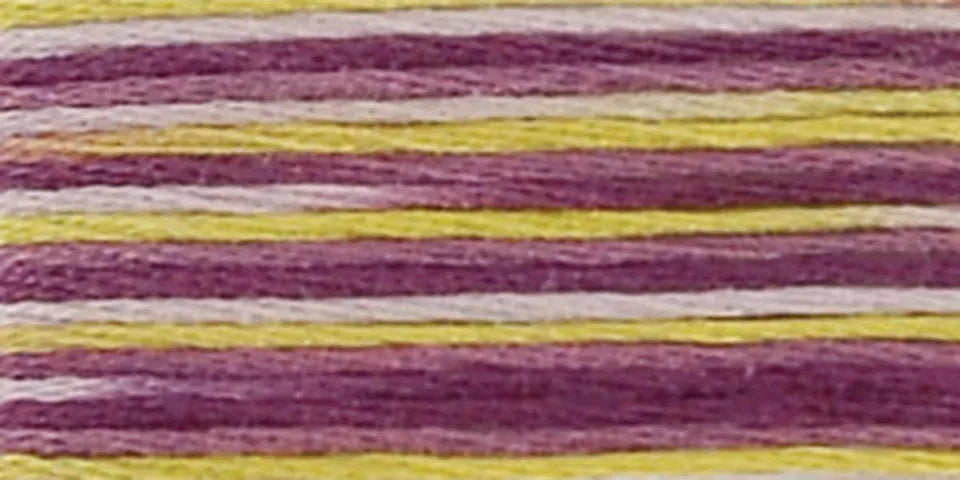 DMC Coloris Embroidery Floss