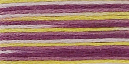DMC Coloris Embroidery Floss
