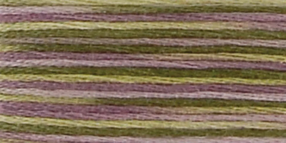 DMC Coloris Embroidery Floss