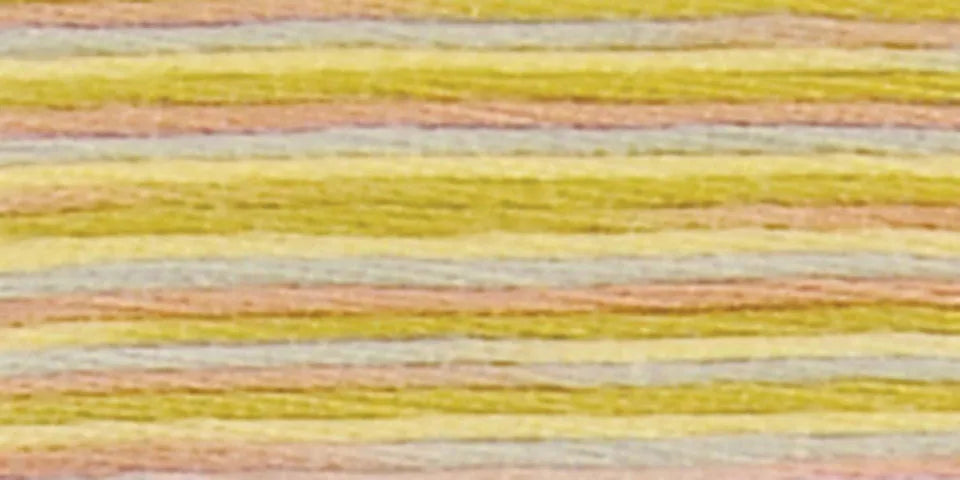 DMC Coloris Embroidery Floss