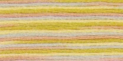 DMC Coloris Embroidery Floss
