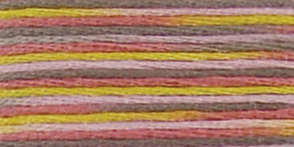 DMC Coloris Embroidery Floss