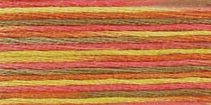 DMC Coloris Embroidery Floss