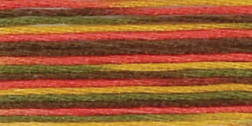 DMC Coloris Embroidery Floss
