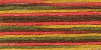 DMC Coloris Embroidery Floss