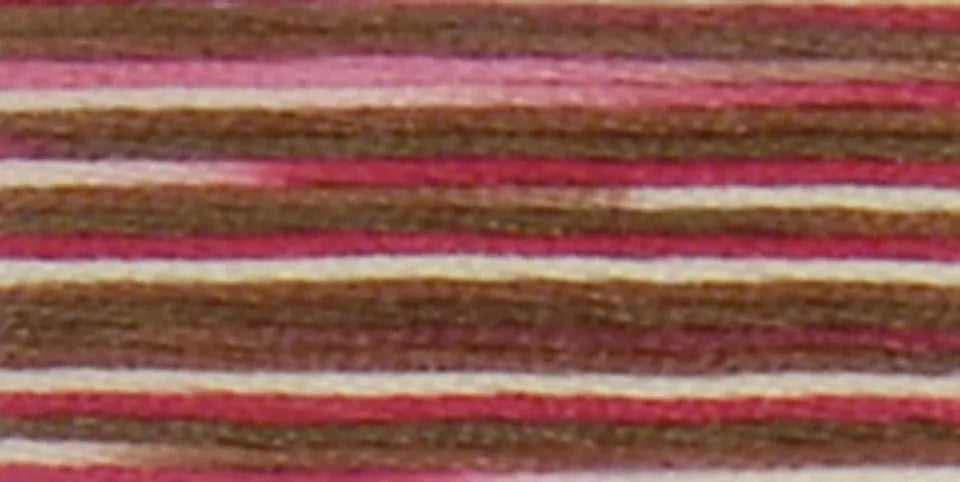 DMC Coloris Embroidery Floss