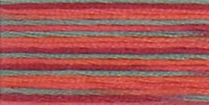 DMC Coloris Embroidery Floss