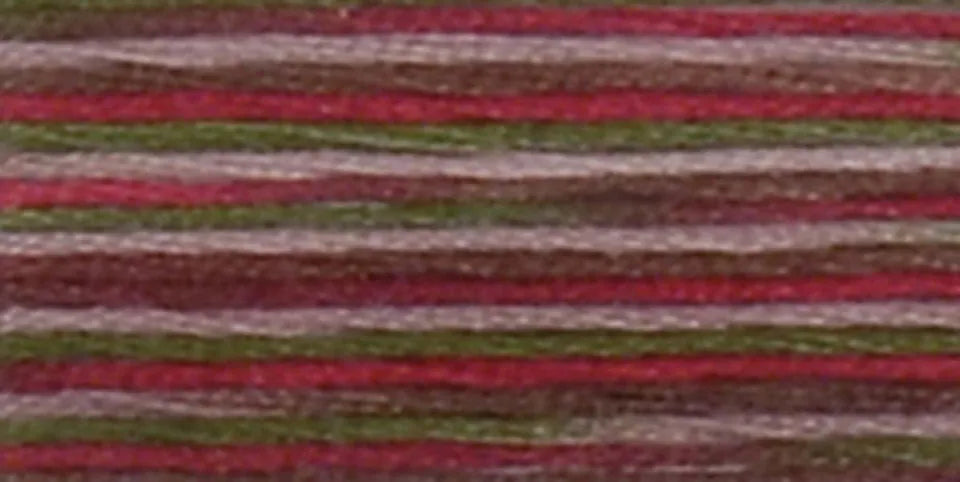 DMC Coloris Embroidery Floss