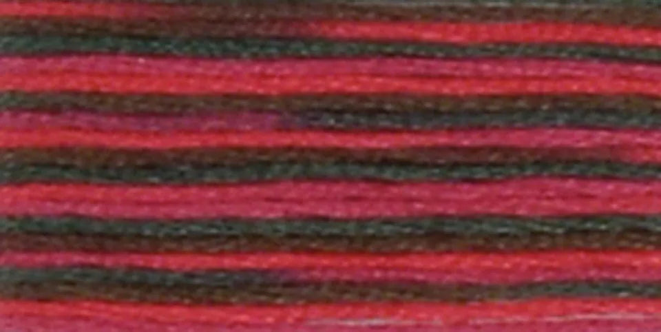 DMC Coloris Embroidery Floss