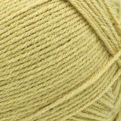 Lion Brand Pound of Love Yarn