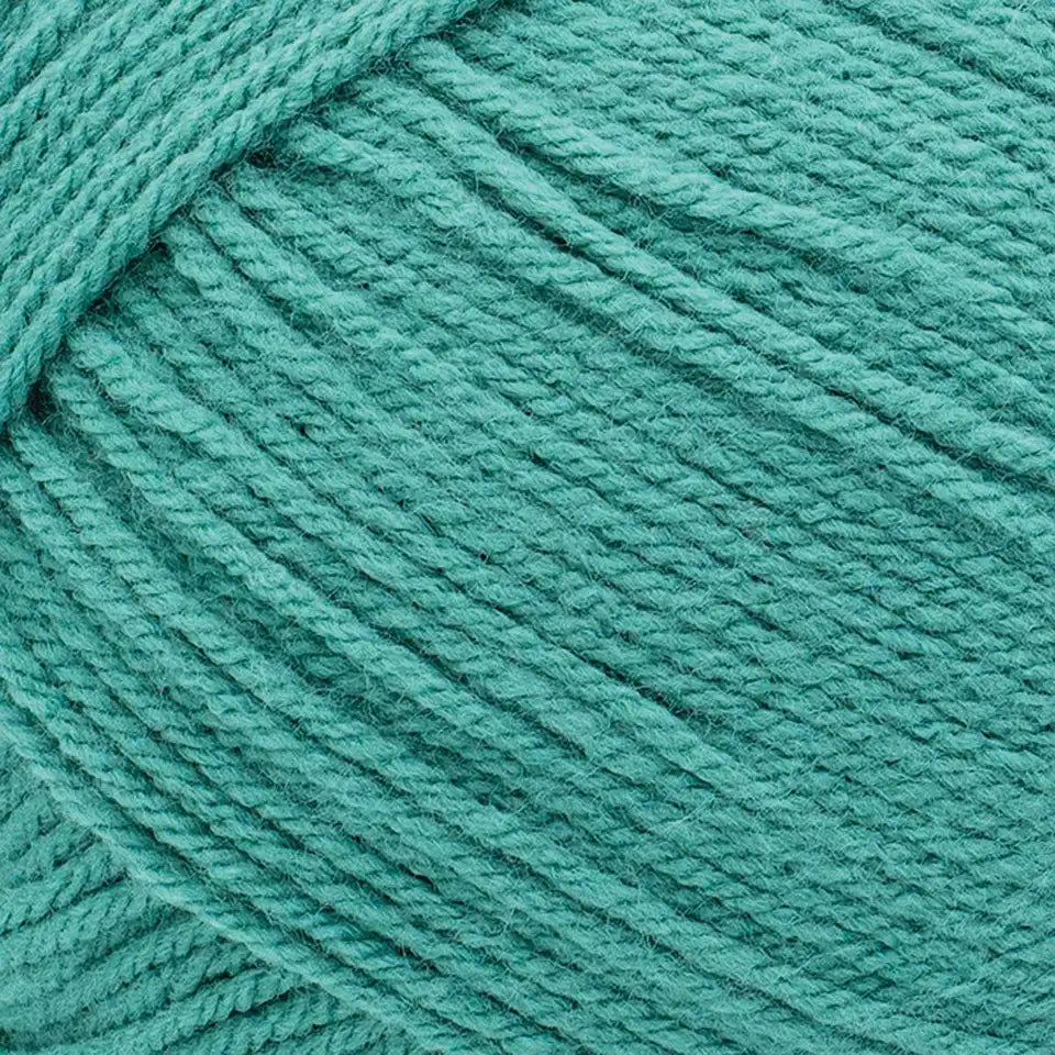 Lion Brand Pound of Love Yarn