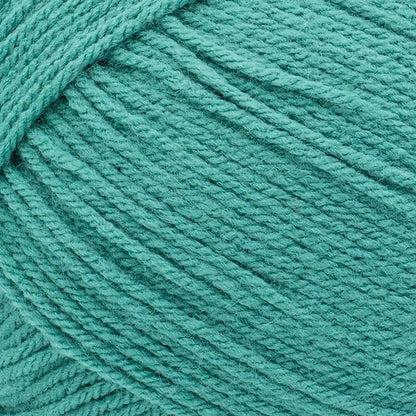 Lion Brand Pound of Love Yarn