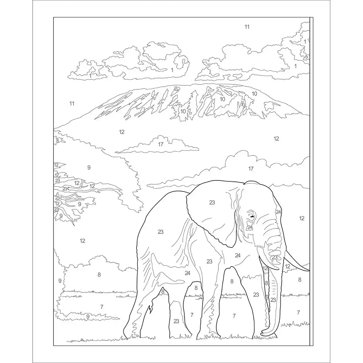 Large Print Calm Color by Number Coloring Book