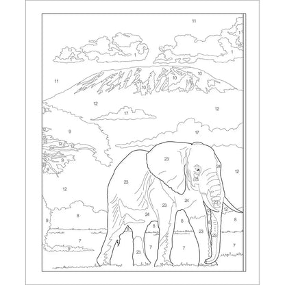 Large Print Calm Color by Number Coloring Book