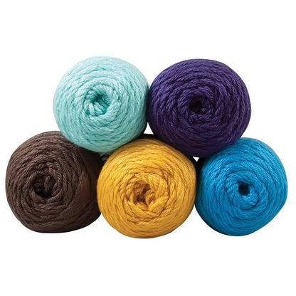 Caron Simply Soft Yarn Pack