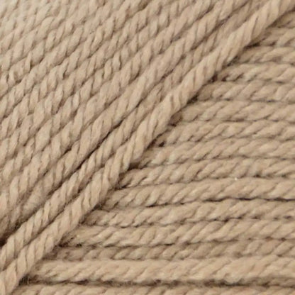 Premier Everyday Worsted Yarn