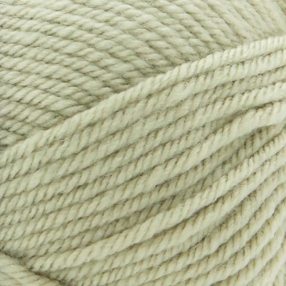 Premier Everyday Worsted Yarn