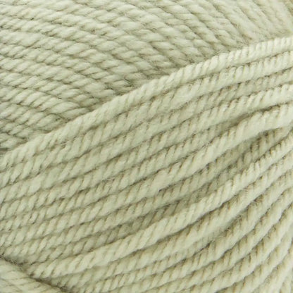 Premier Everyday Worsted Yarn
