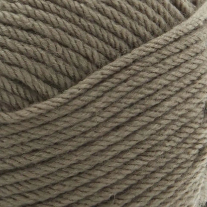 Premier Everyday Worsted Yarn