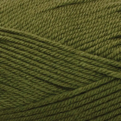 Premier Everyday Worsted—Bag of 3 Yarn Pack
