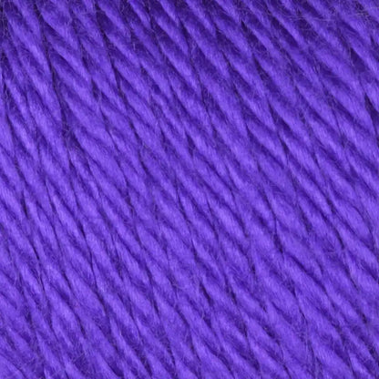 Caron Simply Soft Collection-Bag of 3 Yarn Pack