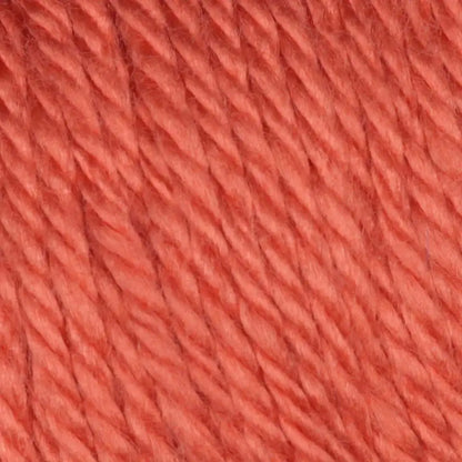 Caron Simply Soft Collection-Bag of 3 Yarn Pack
