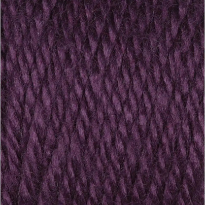Caron Simply Soft Collection-Bag of 3 Yarn Pack