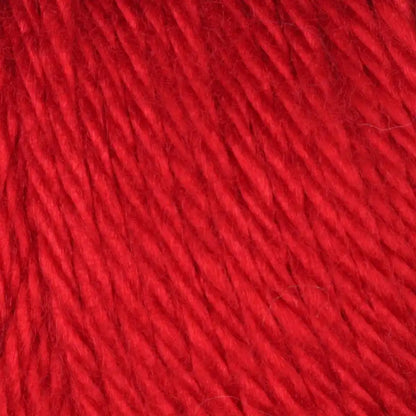 Caron Simply Soft Collection-Bag of 3 Yarn Pack