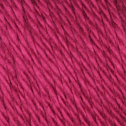 Caron Simply Soft Collection-Bag of 3 Yarn Pack