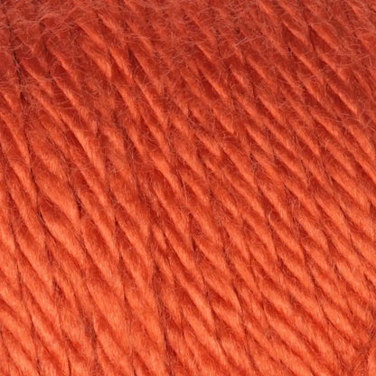 Caron Simply Soft Collection-Bag of 3 Yarn Pack