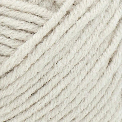Lion Brand Color Theory Yarn