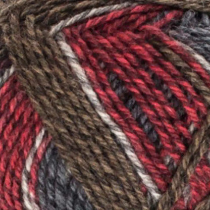 Patons Kroy Socks Yarn