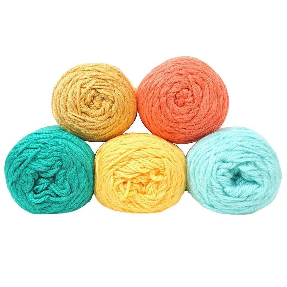 Caron Simply Soft Yarn Pack
