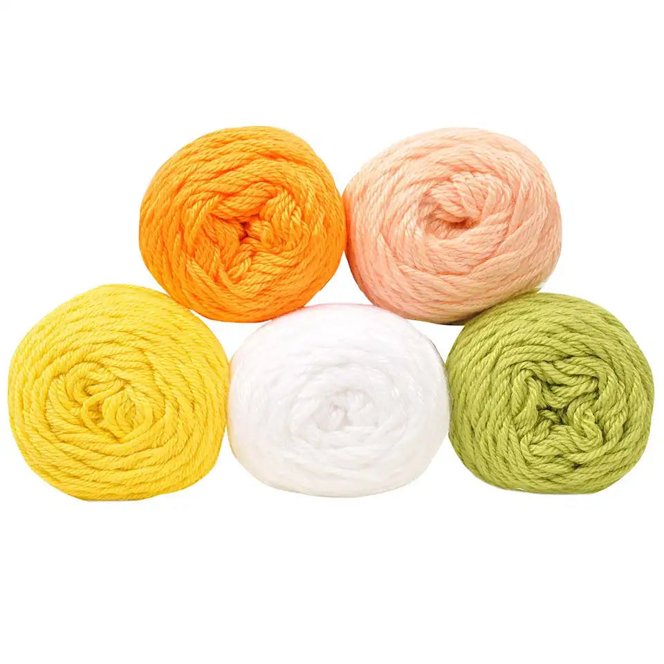 Caron Simply Soft Yarn Pack