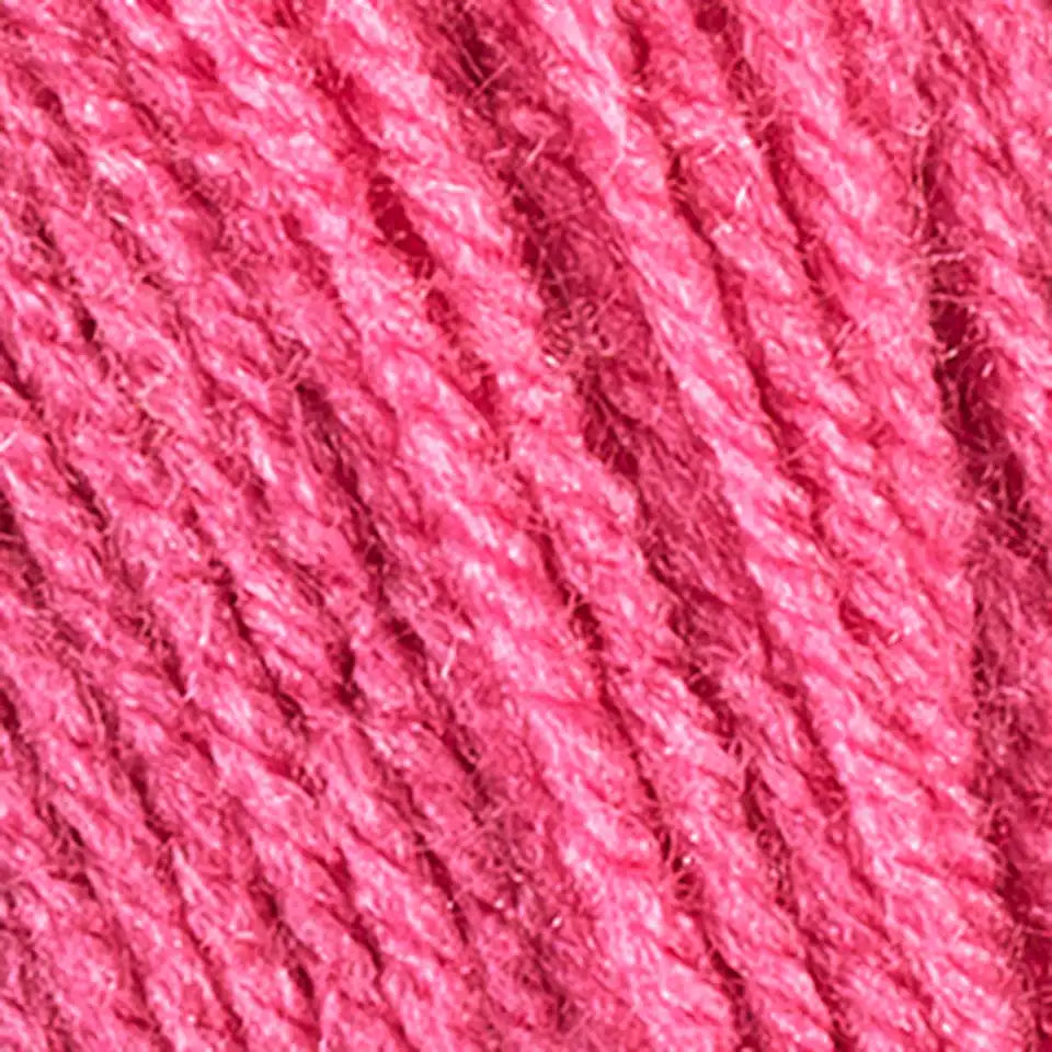 Red Heart Super Saver Jumbo-Bag of 2 Yarn Pack