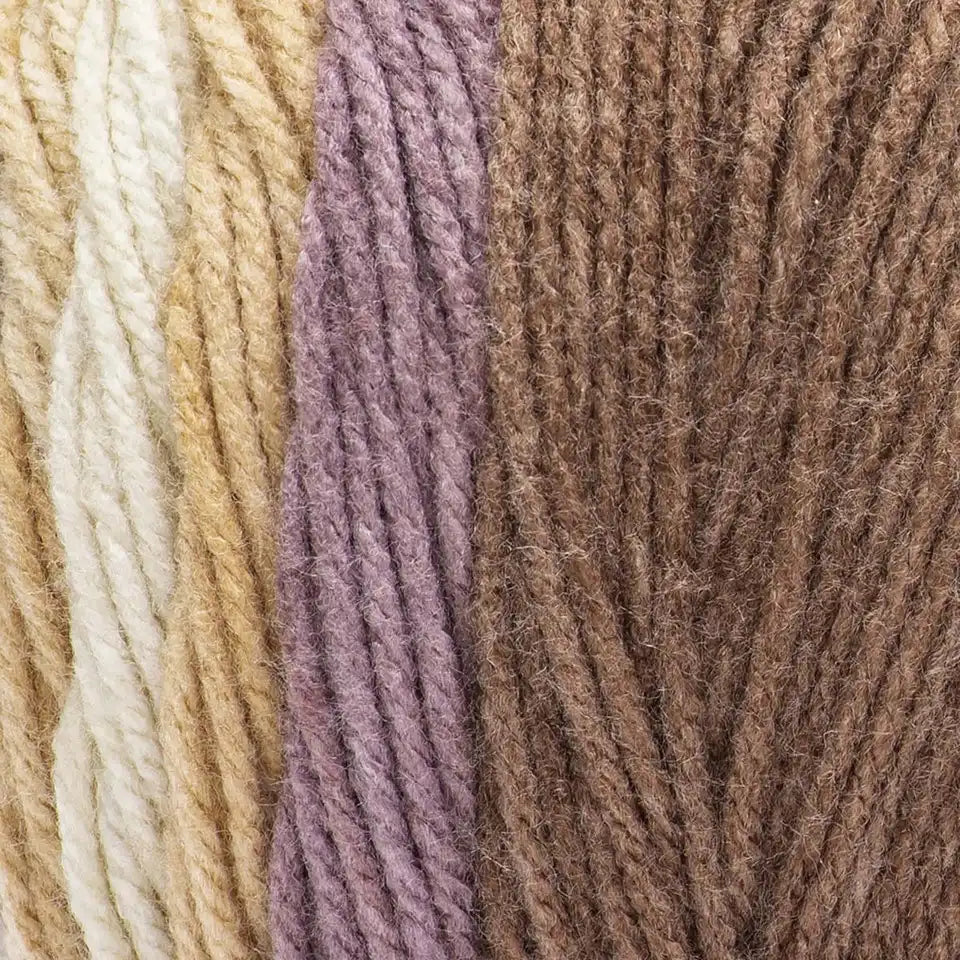 Caron Jumbo Ombre Yarn