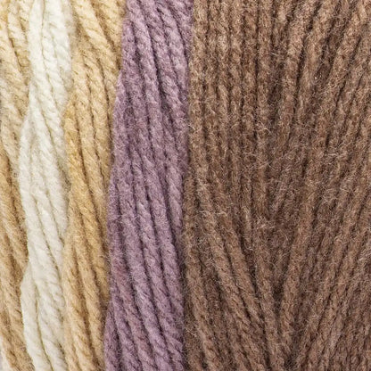 Caron Jumbo Ombre Yarn