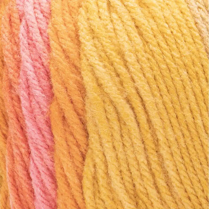 Caron Jumbo Ombre Yarn