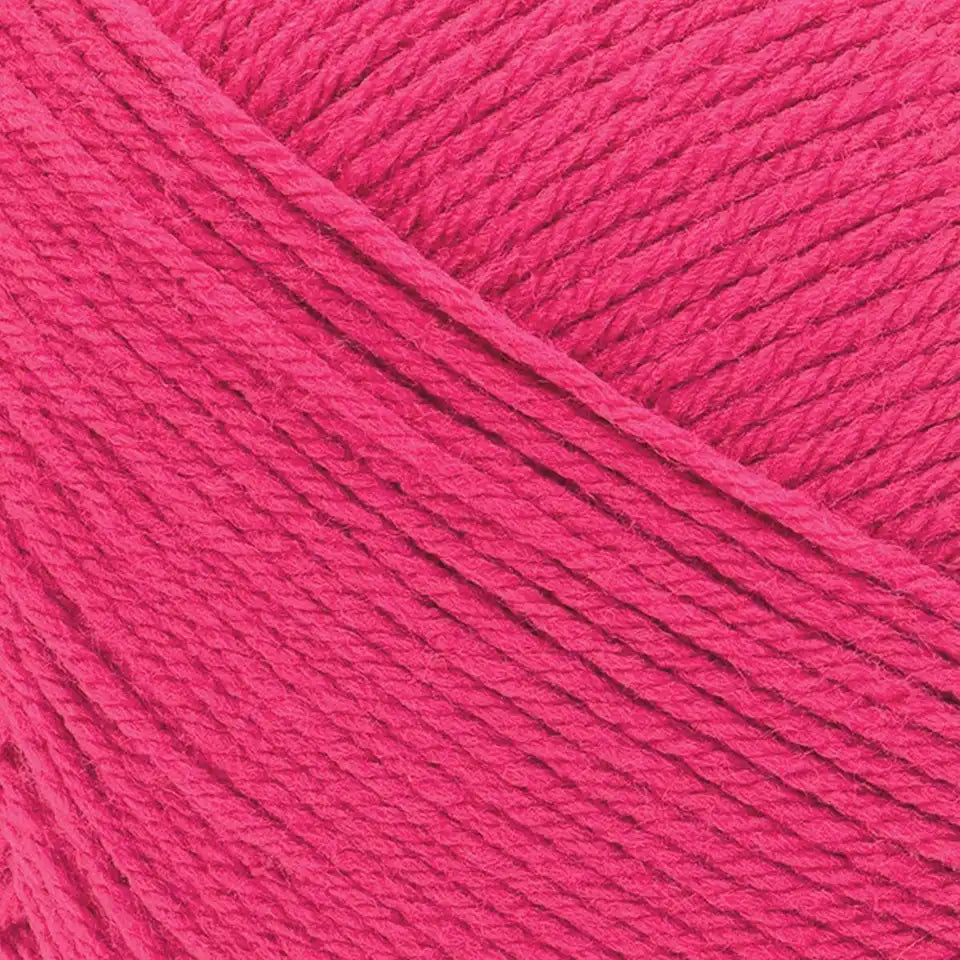 Lion Brand Pound of Love Yarn