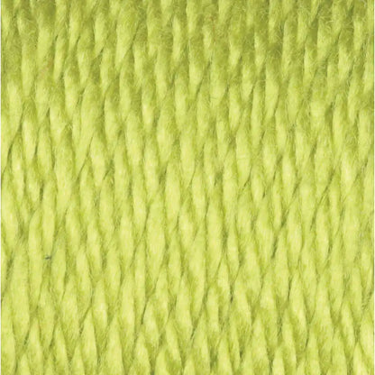 Caron Simply Soft Collection-Bag of 3 Yarn Pack