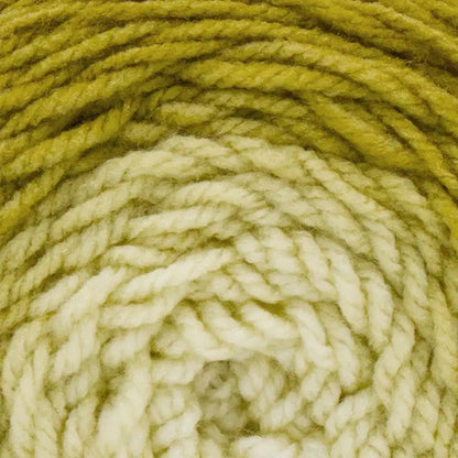 Lion Brand Mandala Gradient Yarn