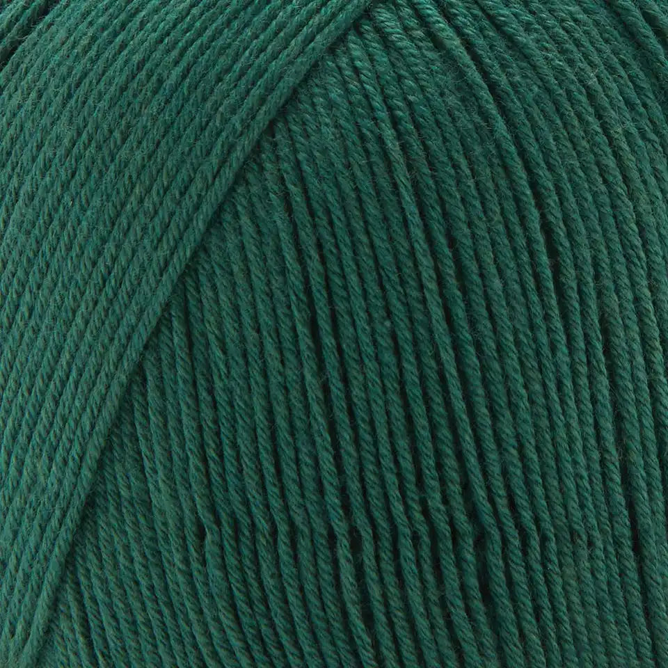 Premier Cotton Fair Solids Yarn