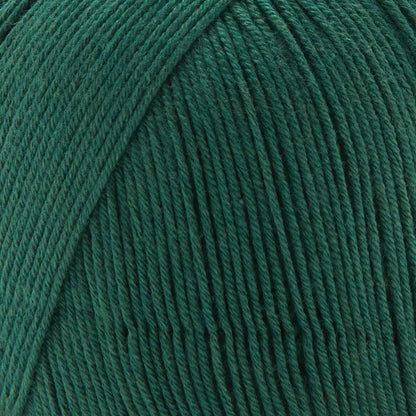 Premier Cotton Fair Solids Yarn