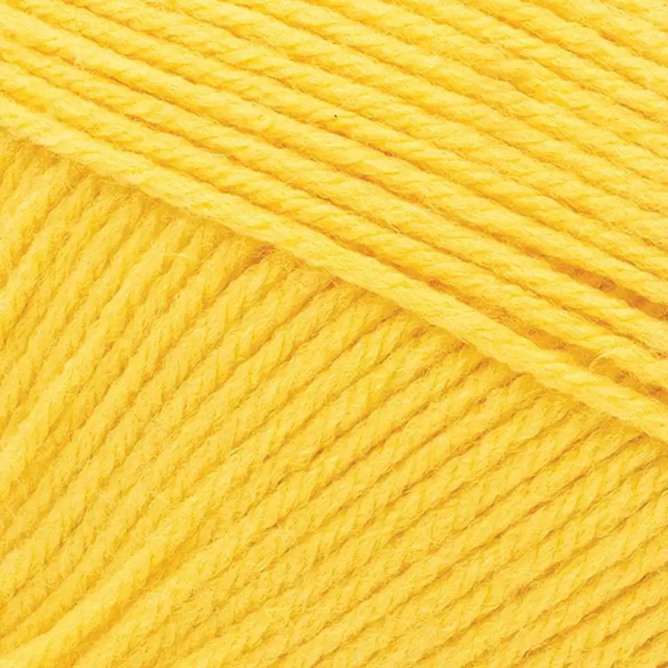 Lion Brand Pound of Love Yarn