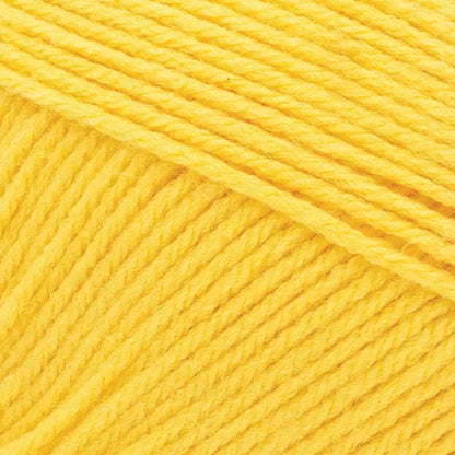 Lion Brand Pound of Love Yarn