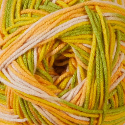 Herrschners Worsted 8 Wildflowers Yarn